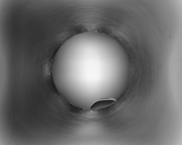 X0000089740768200707051757