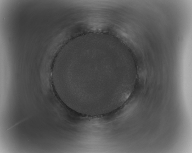 X0000089740769200707051756