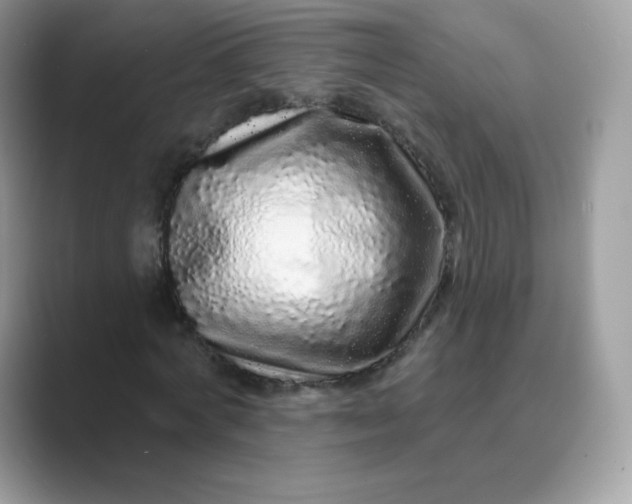 X0000089740772200707051756