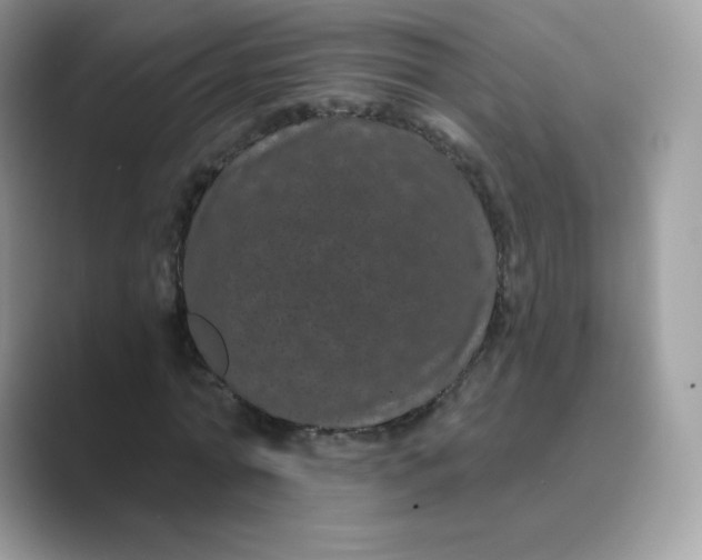 X0000089740774200707051756