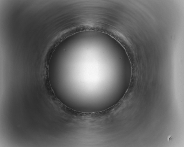 X0000089740776200707051756