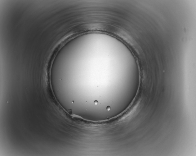 X0000089740782200707051756