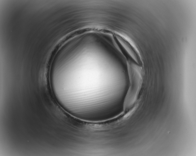 X0000089740783200707051756