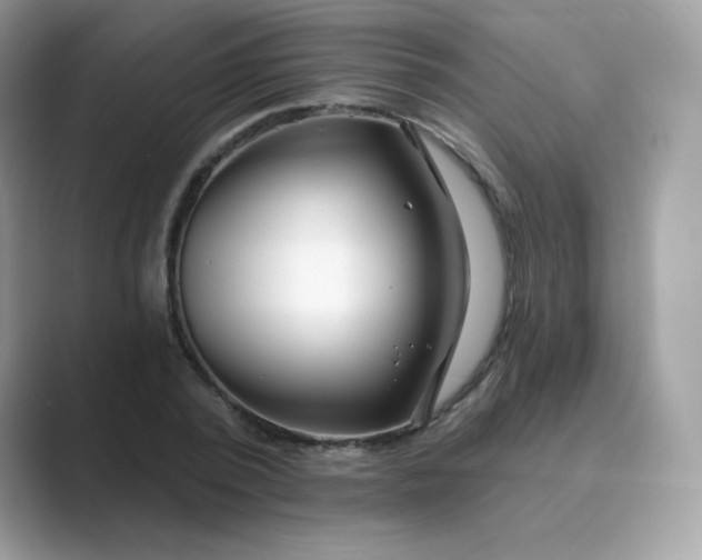 X0000089740784200707051756