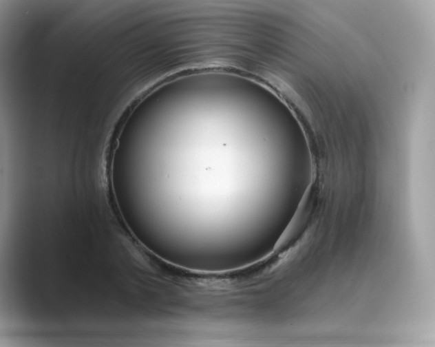 X0000089740789200707051756