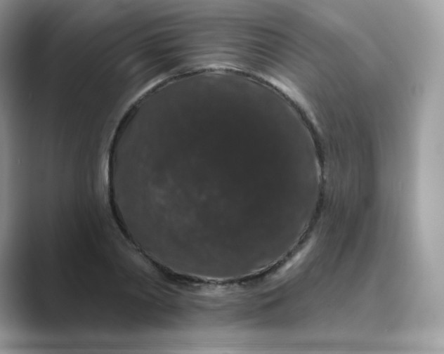 X0000089740790200707051756