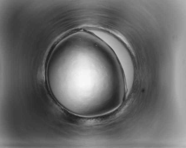 X0000089740791200707051756