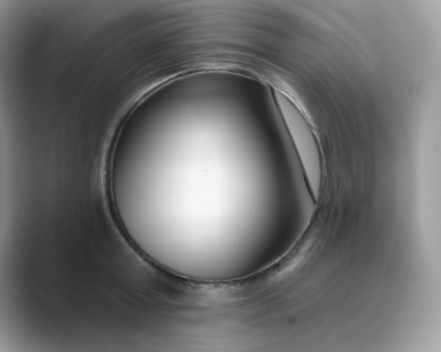 X0000089740803200707051756