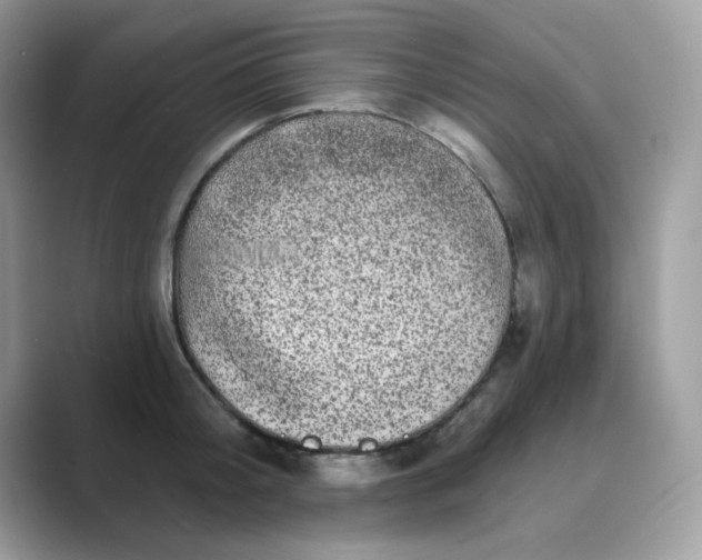 X0000089740804200707051756