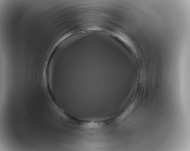 X0000089740806200707051756