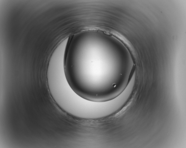 X0000089740809200707051756