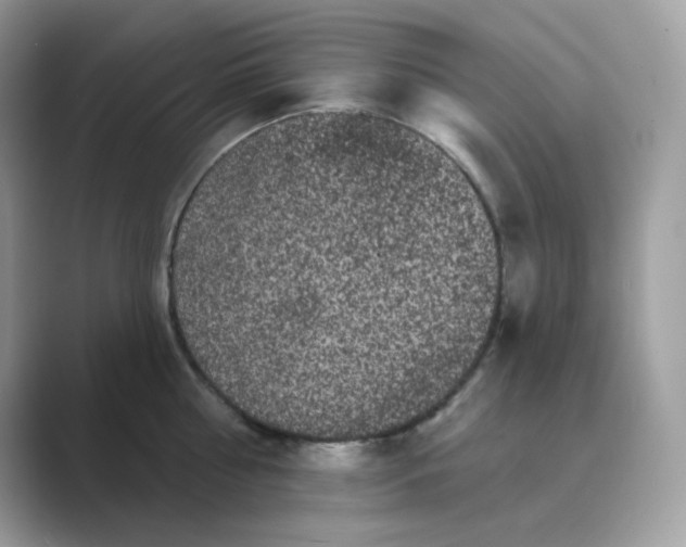 X0000089740810200707051756