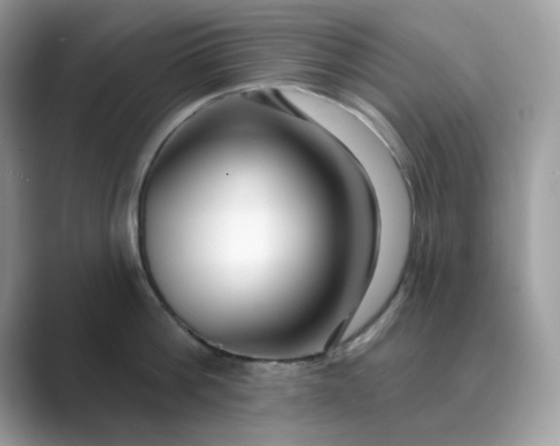 X0000089740812200707051756