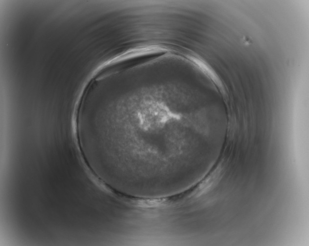 X0000089740813200707051756