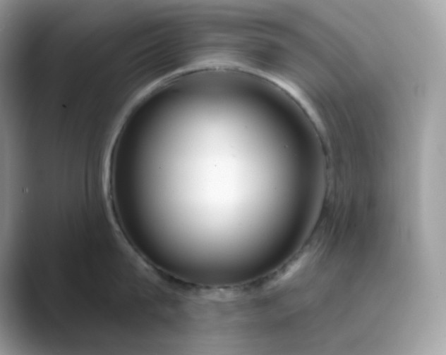 X0000089740815200707051756