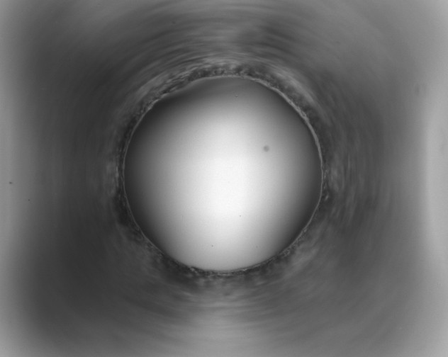 X0000089740821200707051755