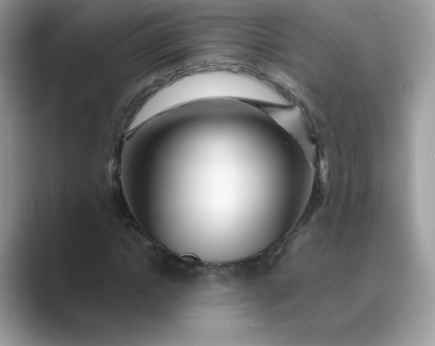 X0000089740822200707051755