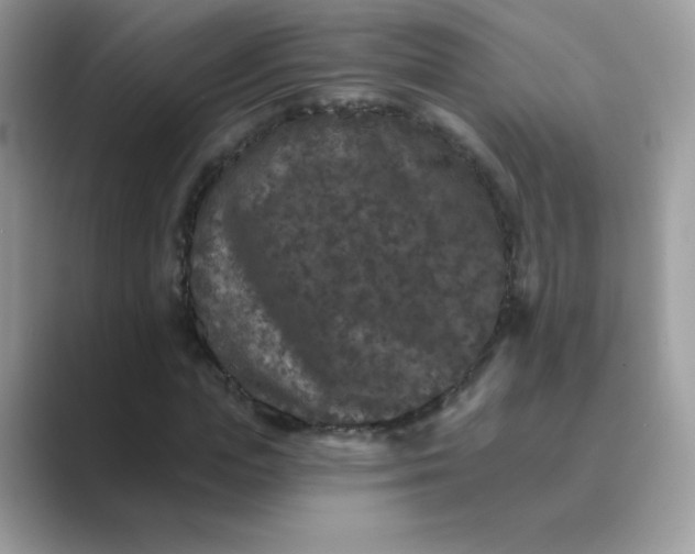 X0000089740823200707051755