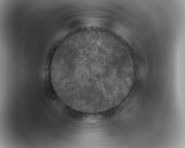 X0000089740824200707051755