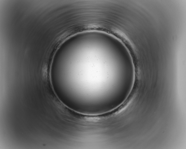 X0000089740825200707051755