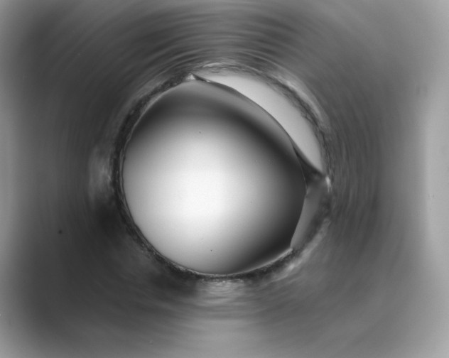 X0000089740826200707051755