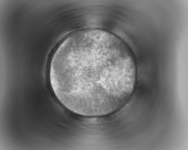 X0000089740828200707051755