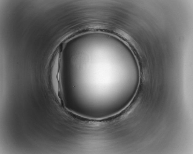 X0000089740829200707051755