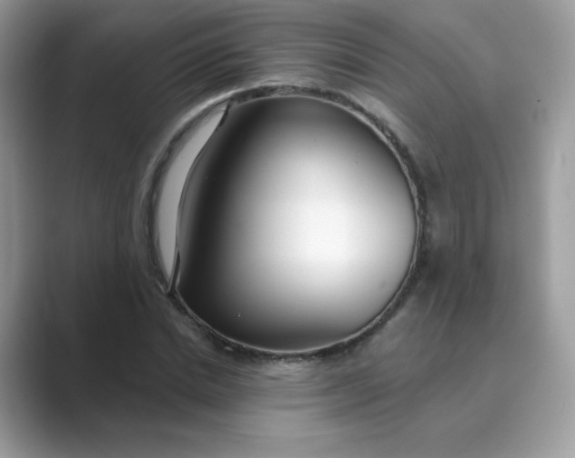 X0000089740830200707051755