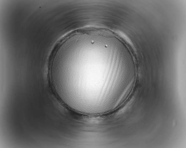 X0000089740831200707051755