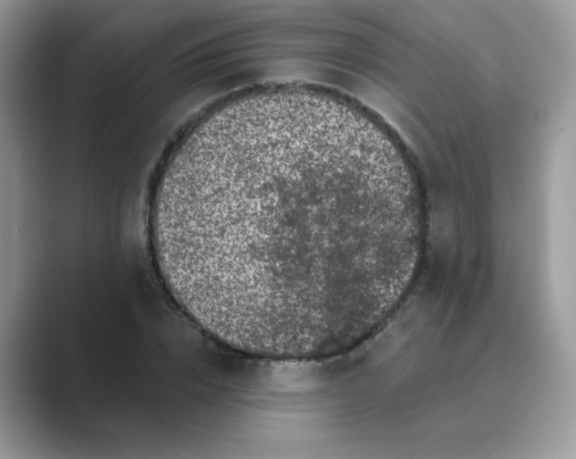 X0000089740832200707051755