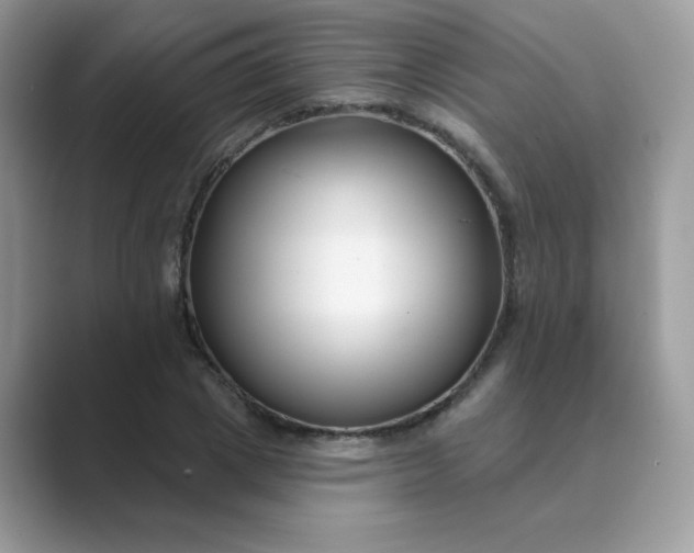 X0000089740833200707051755