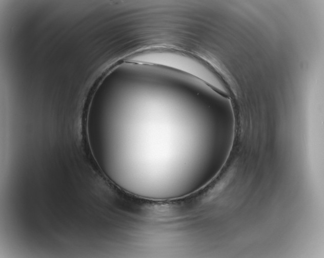 X0000089740834200707051755