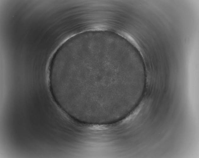 X0000089740835200707051755