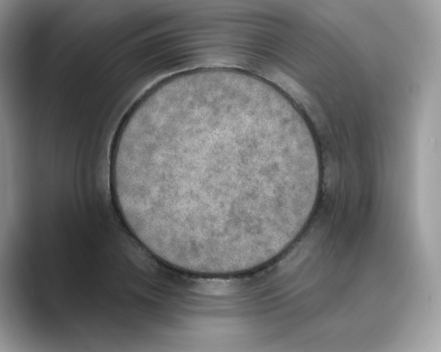 X0000089740836200707051755