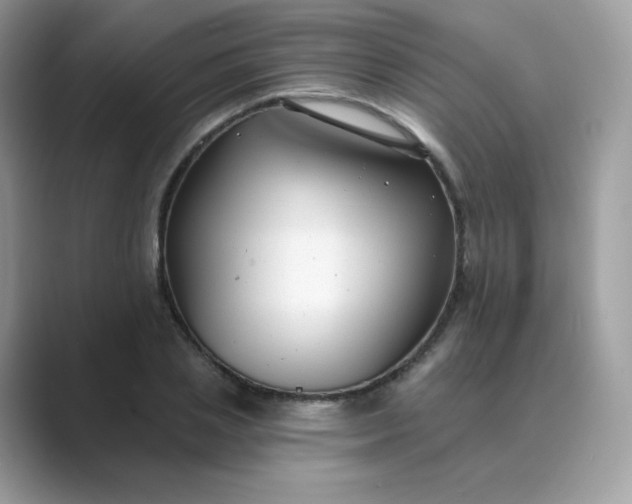 X0000089740837200707051755