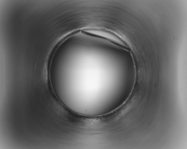 X0000089740838200707051755