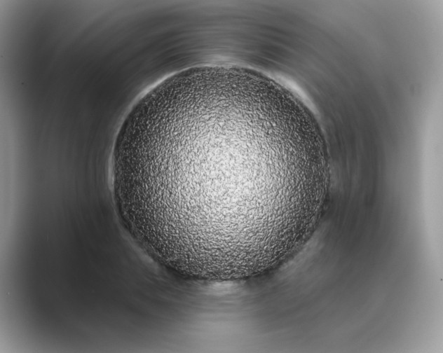 X0000089740839200707051755