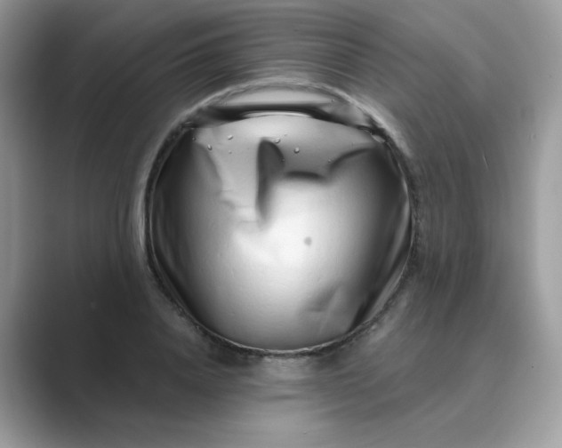 X0000089740840200707051755