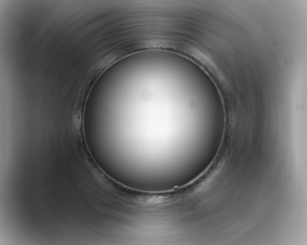 X0000089740841200707051755