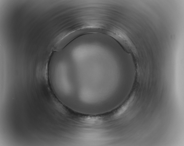 X0000089740842200707051755