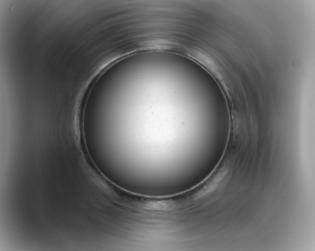 X0000089740843200707051755