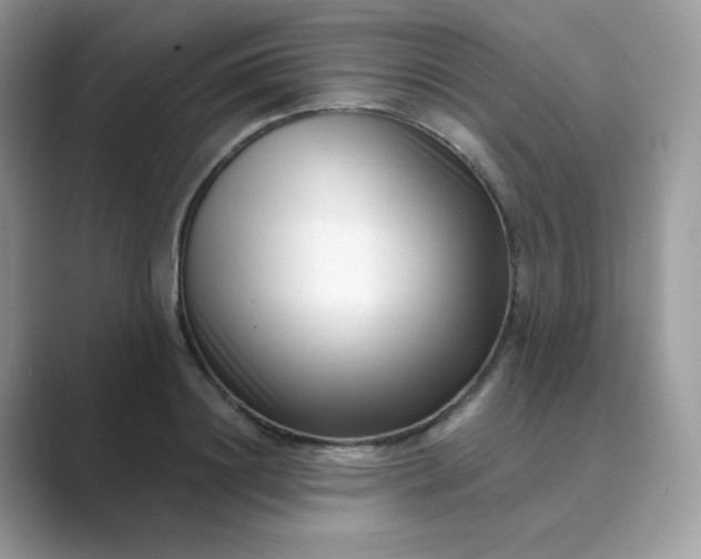 X0000089740844200707051755