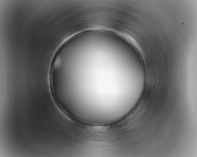 X0000089740847200707051755