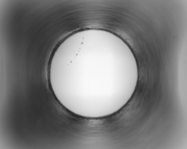 X0000089740848200707051755