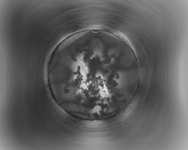 X0000089740851200707051755