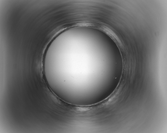 X0000089740852200707051755