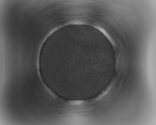 X0000089740853200707051755