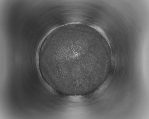 X0000089740859200707051756