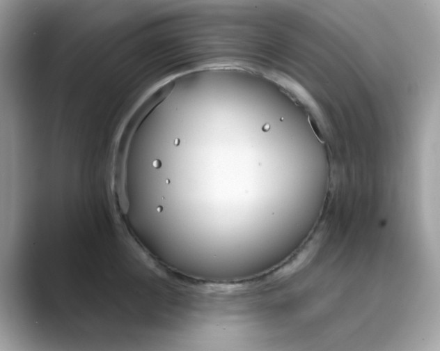 X0000089740860200707051756