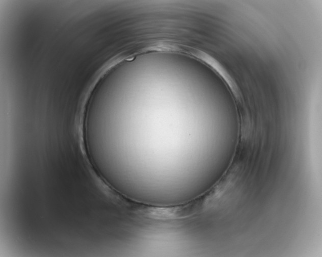 X0000089740861200707051756